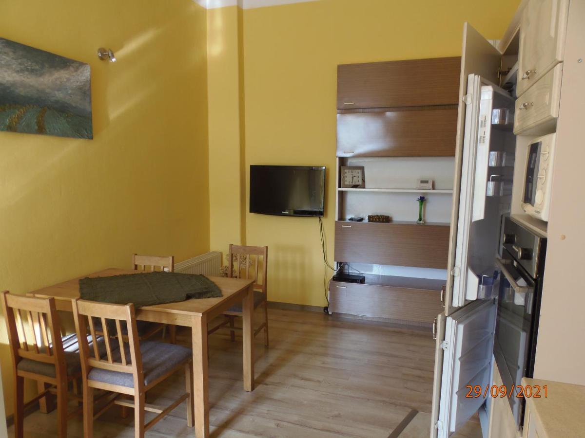 Apartament Kasztanowy Apartment Gliwice Exterior photo